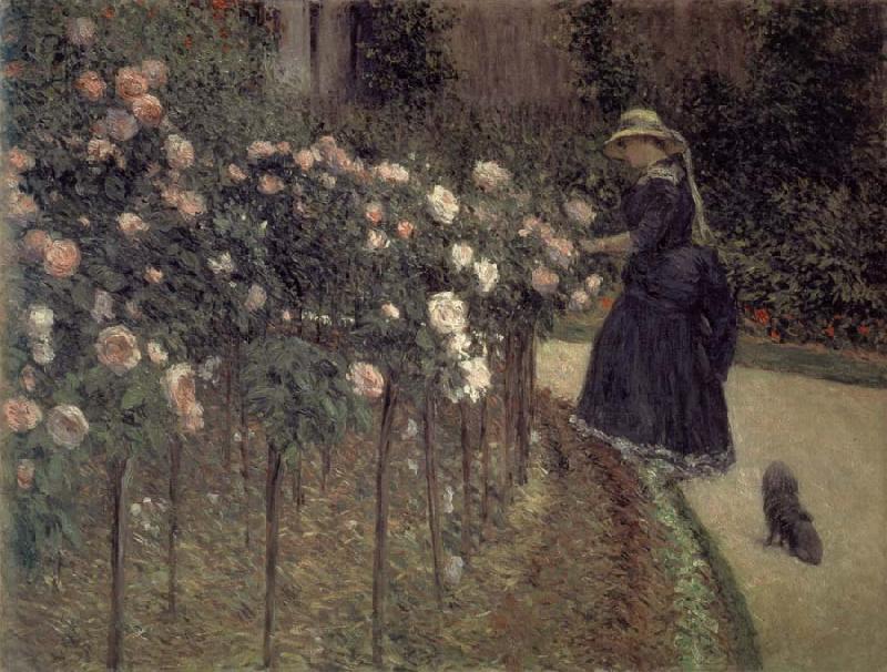 Gustave Caillebotte Roses-The Garden in Petit-Gennevilliers Germany oil painting art